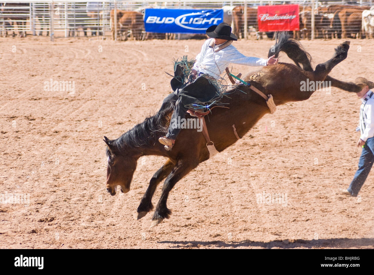 Un vaquero compite en el bareback riding evento durante el O'Odham Tash todos los indios de rodeo Foto de stock