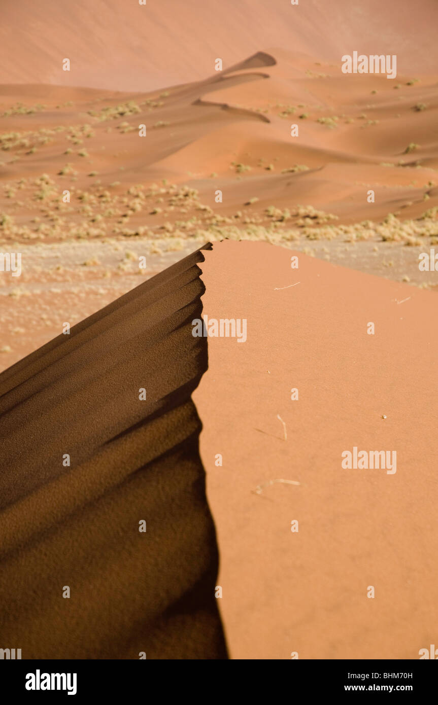 Dunas de arena roja, el desierto de Namib, Namibia, Africa Foto de stock