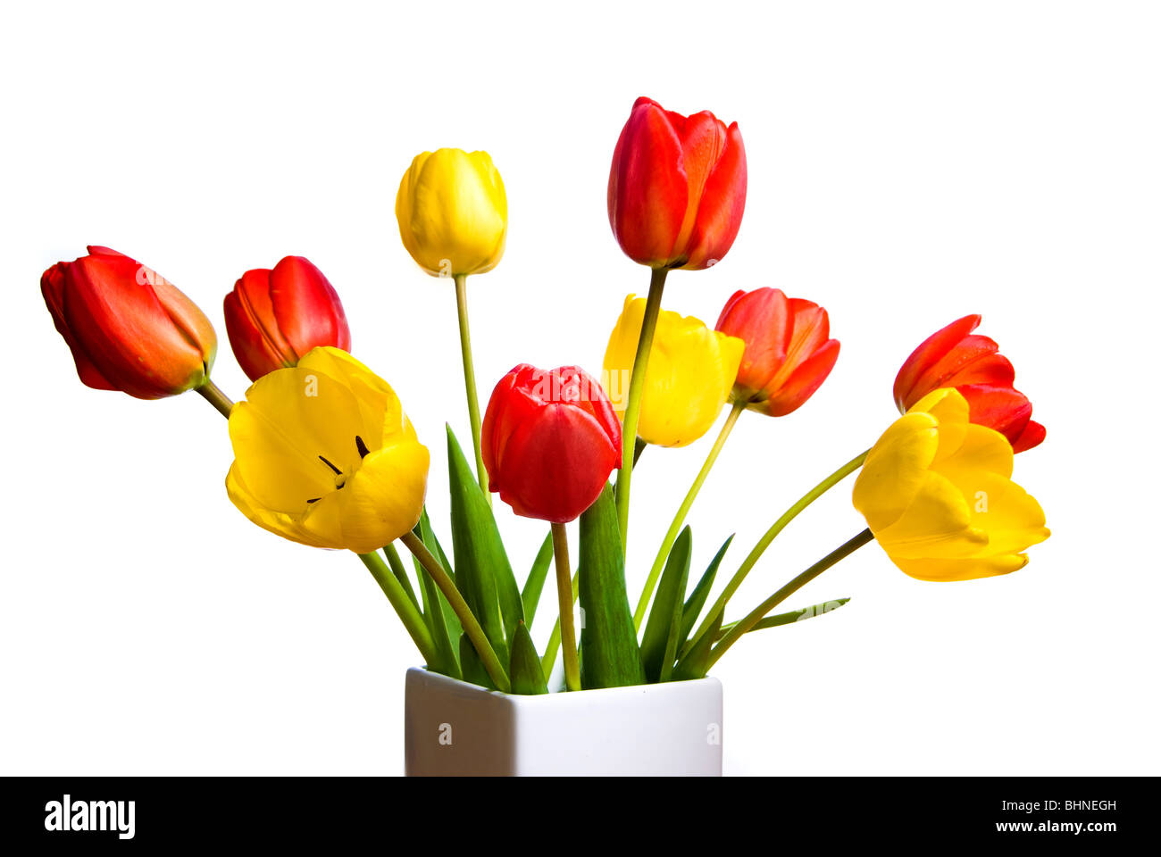 Un Ramo de tulipanes flores Foto de stock