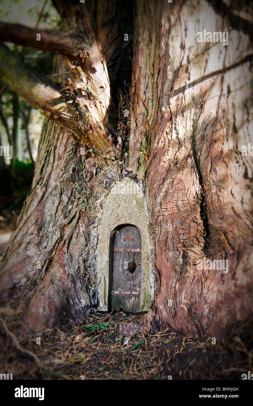 Un cuento de puerta en un árbol del bosque mágico Foto de stock