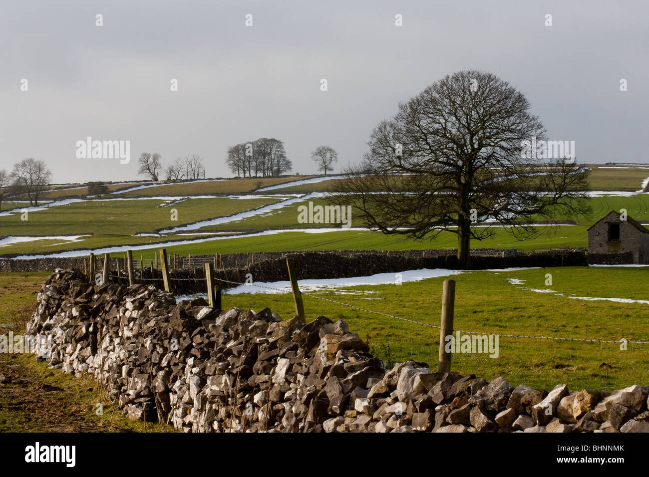 Escena de Invierno de muro de piedra y campos agrícolas en Derbyshire Dales Foto de stock
