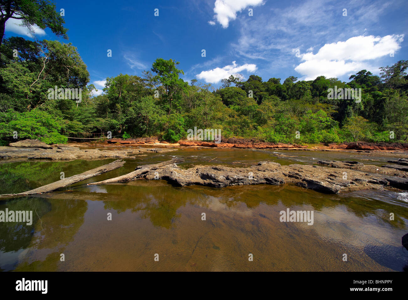 El bosque tropical de Laos Foto de stock