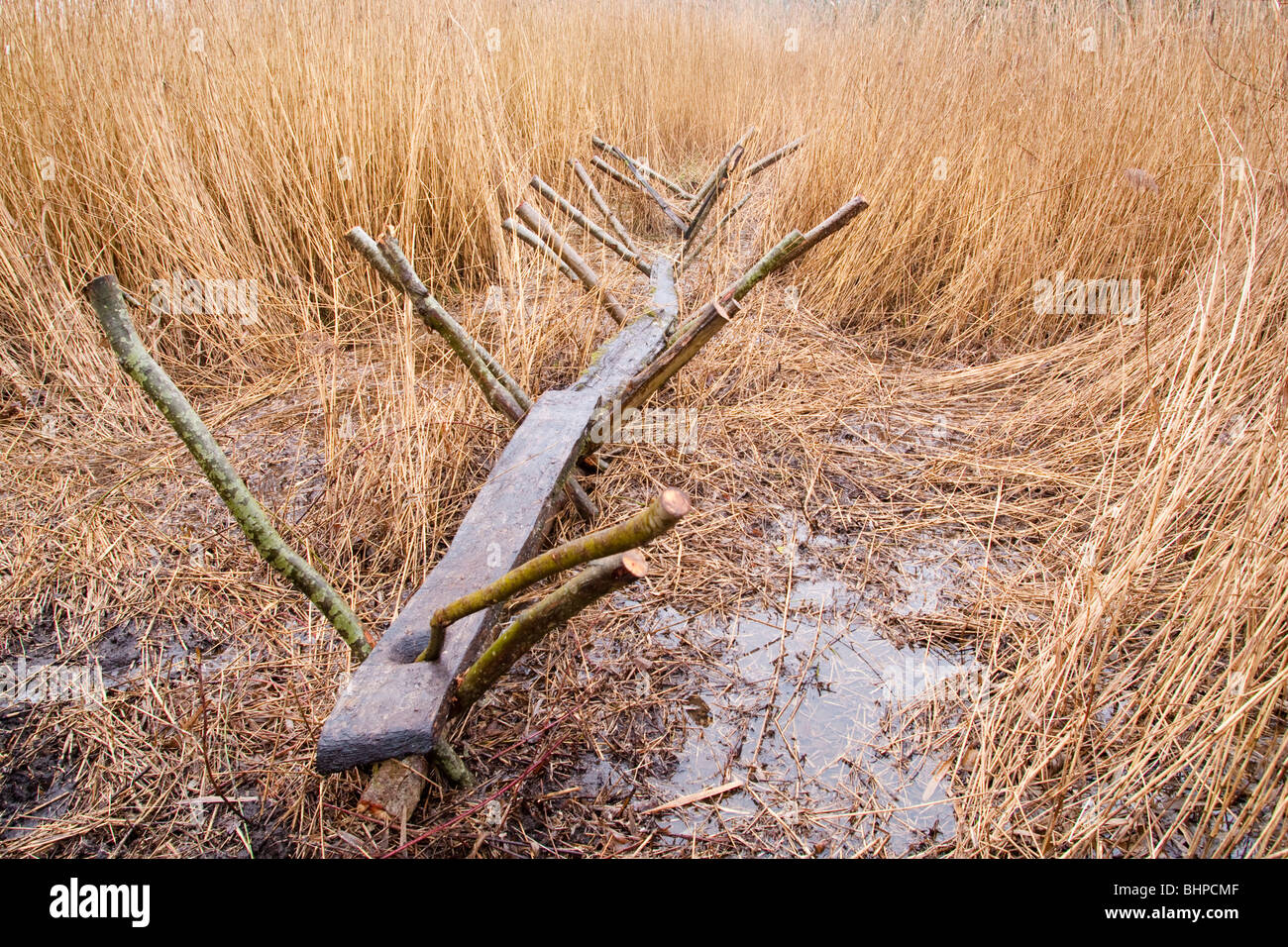 Reconstrucción de la pista dulce (un hombre hecho Neolítico camino o ruta a través de los humedales) Shapwick Heath, niveles de Somerset, Reino Unido Foto de stock