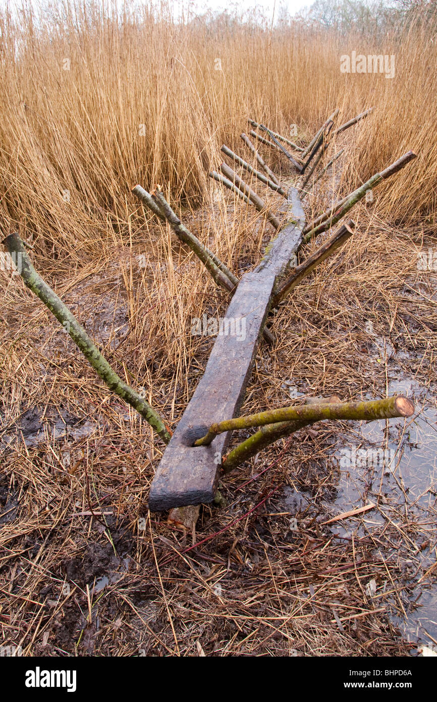 Reconstrucción de la pista dulce (un hombre hecho Neolítico camino o ruta a través de los humedales) Shapwick Heath, niveles de Somerset, Reino Unido Foto de stock