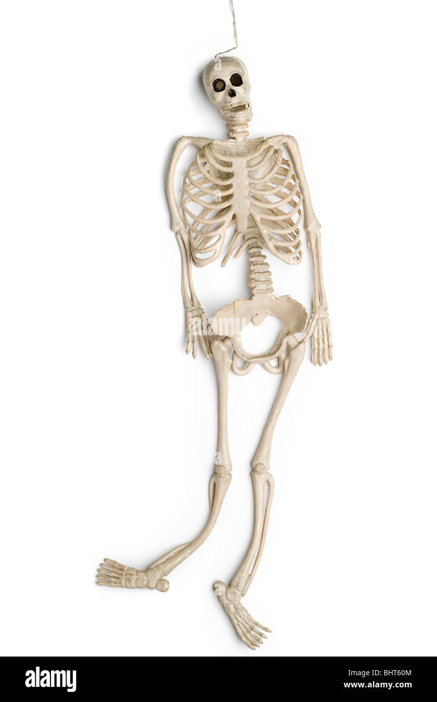 Un esqueleto de juguete de goma sobre blanco Foto de stock