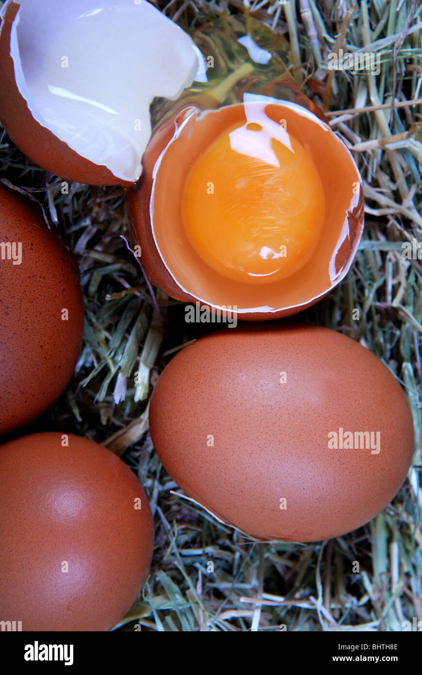Los huevos de pollo fresco y la horquilla. Foto de stock