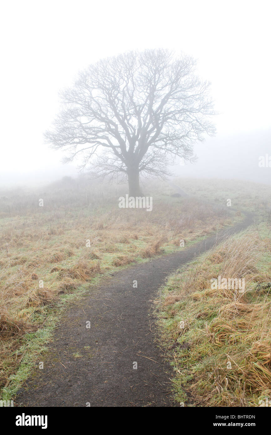 Bucle de johnshill fotografías e imágenes de alta resolución Alamy