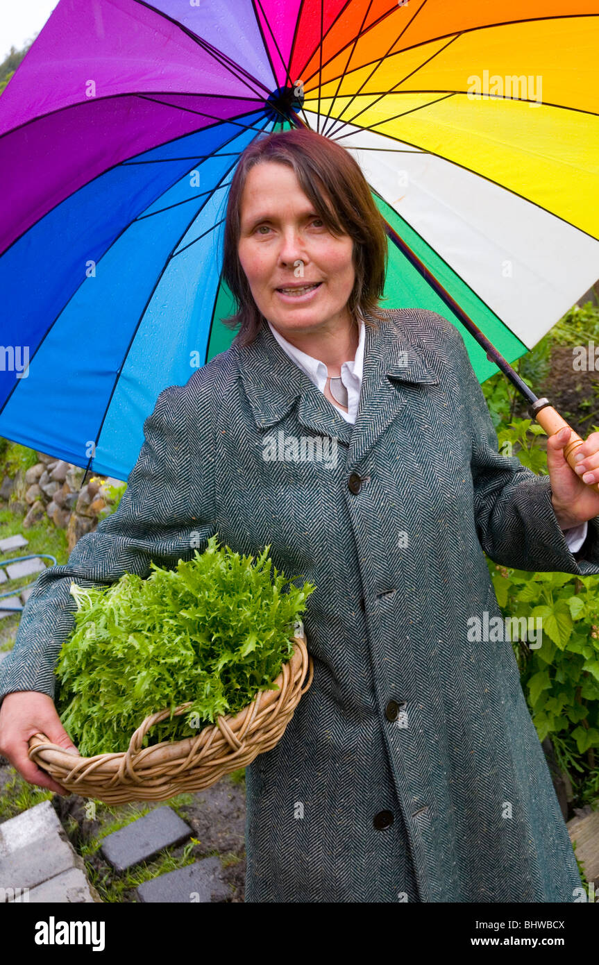 Una mujer de mediana edad con coloridos paraguas reúne ensaladas verdes de su jardín a finales de otoño Foto de stock