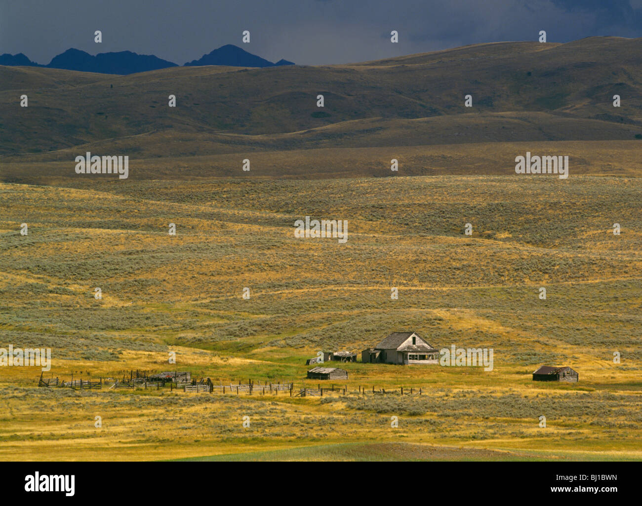 Abandonado RANCH HOUSE, corrales y dependencias, las estribaciones de las montañas del Valle de locos, escudos, Montana, EE.UU. Foto de stock