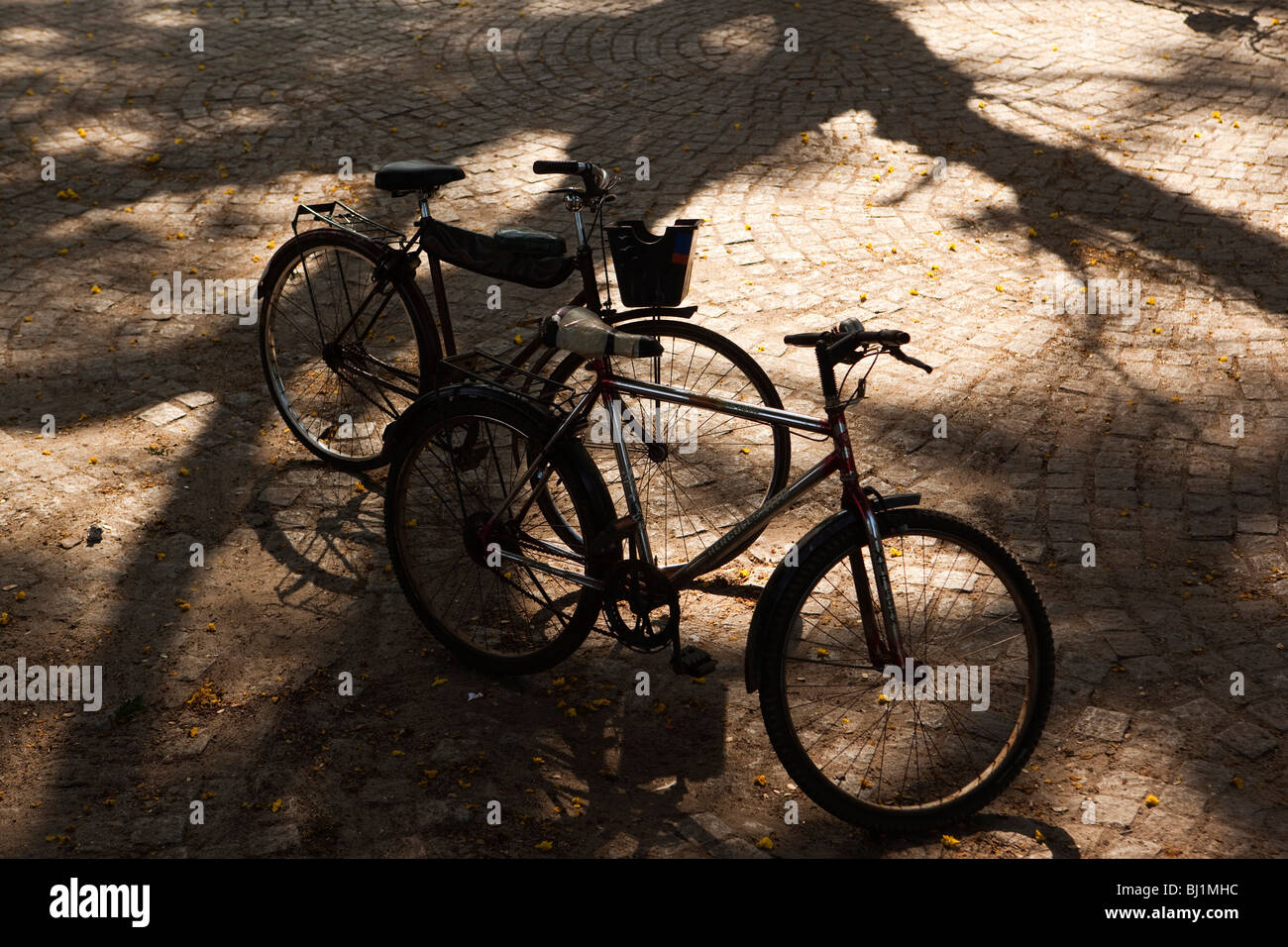 India, Kerala, Kochi, Fort Cochin, paseo marítimo, dos bicicletas en la tarde la luz del sol Foto de stock