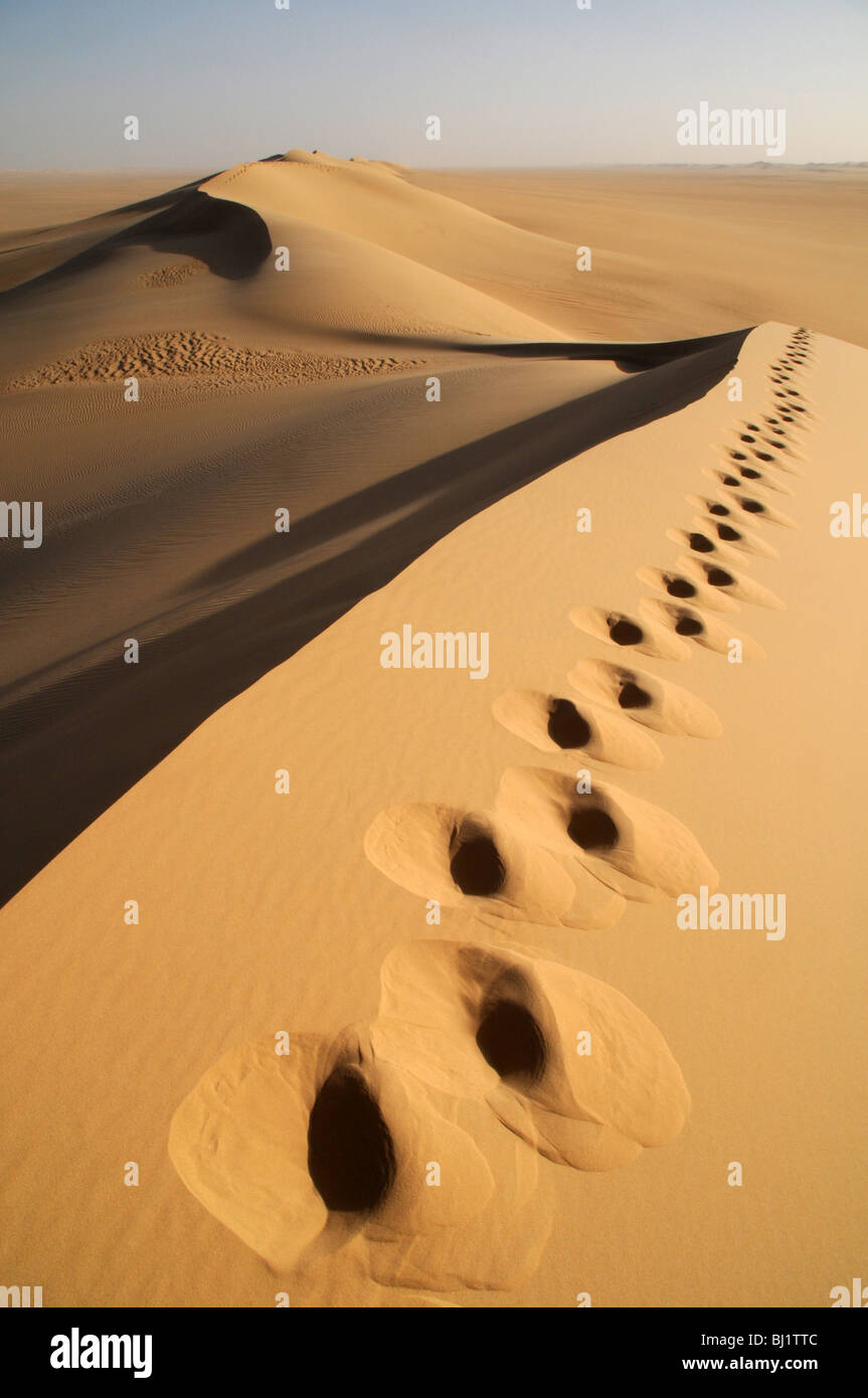 Huellas en la cresta de una duna de arena en la remota región de gran mar de arena del desierto del Sahara, en la región occidental (Jamahiriya) desierto del sudoeste de Egipto. Foto de stock