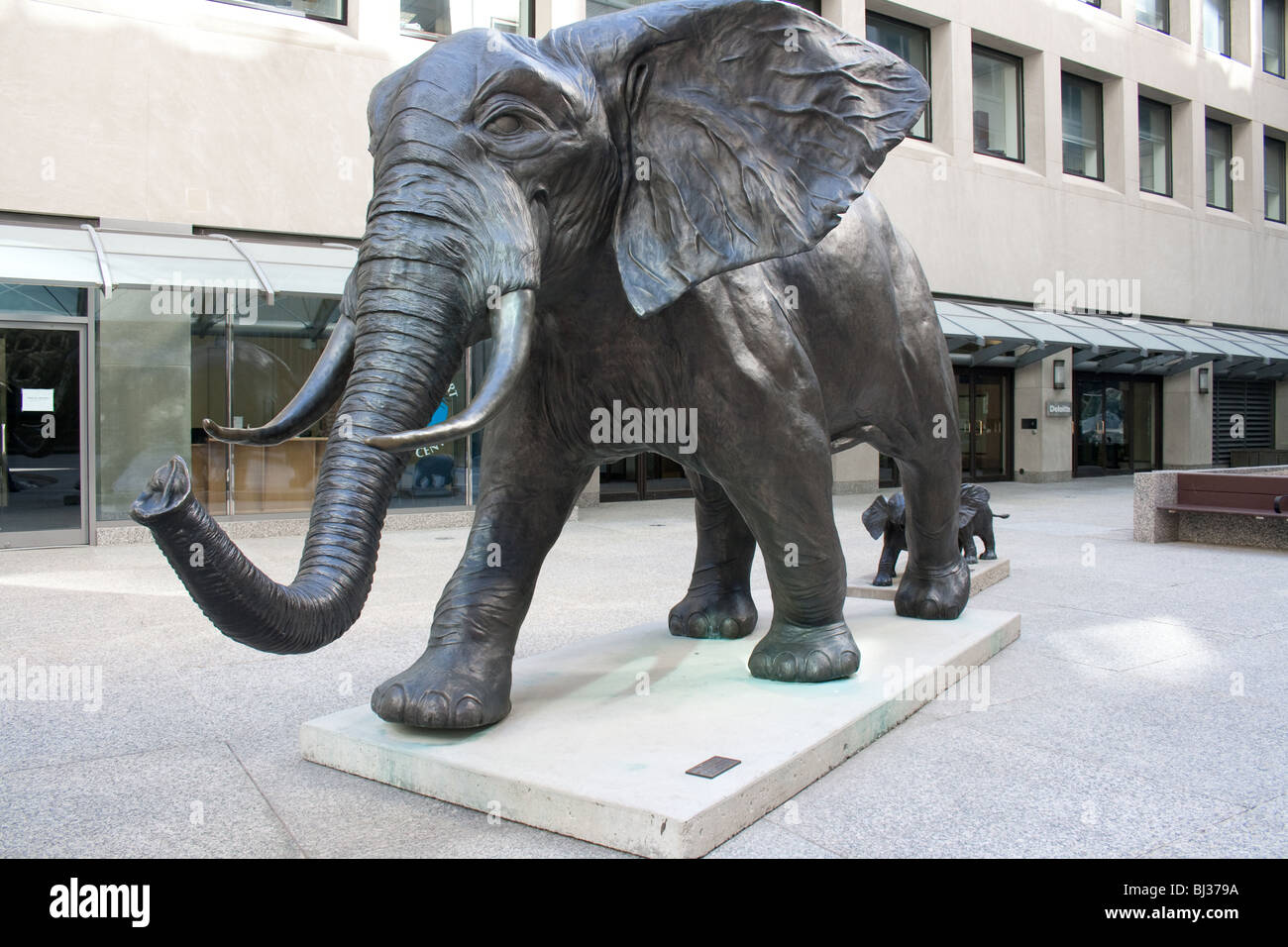 Los elefantes esculturas que representan la fortaleza y lealtad situado dentro del distrito financiero de Toronto Foto de stock