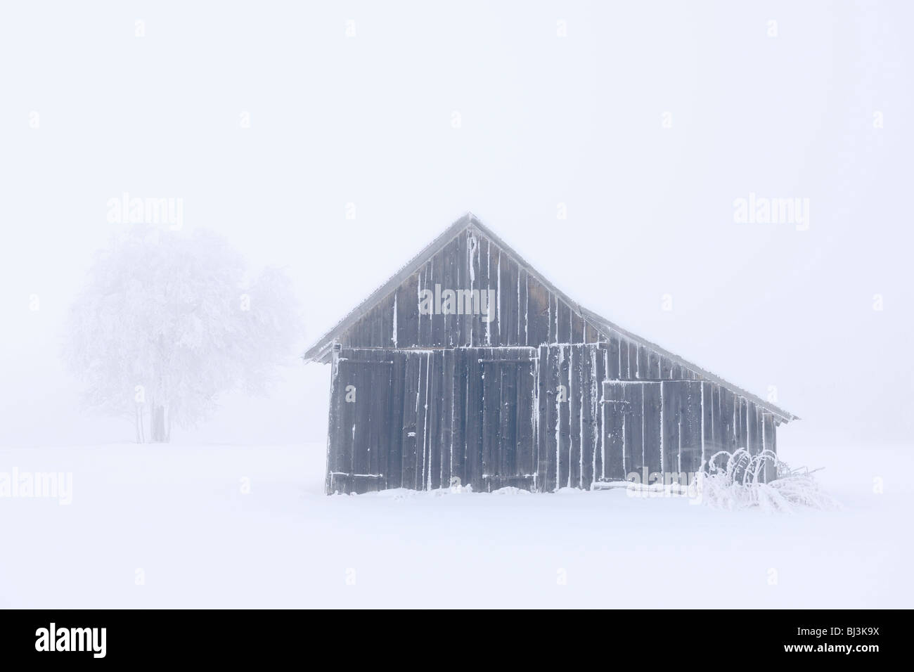 Cabaña de madera cubierto con nieve y helada hoar, Suabia, Baden-Wurtemberg, Alemania, Europa Foto de stock
