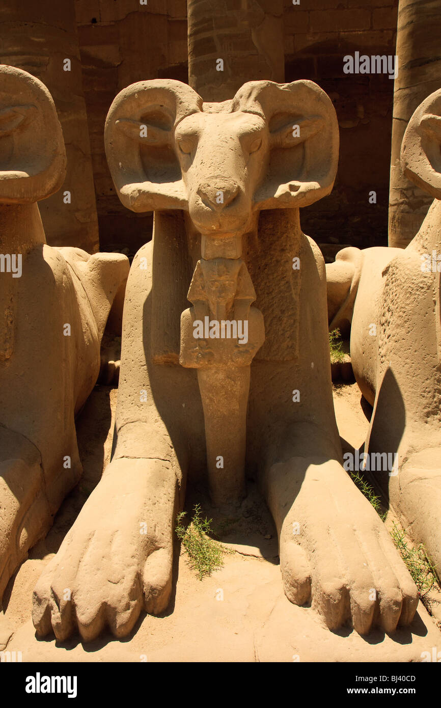 África Egipto Templo de Karnak Luxor estatua Ram Foto de stock