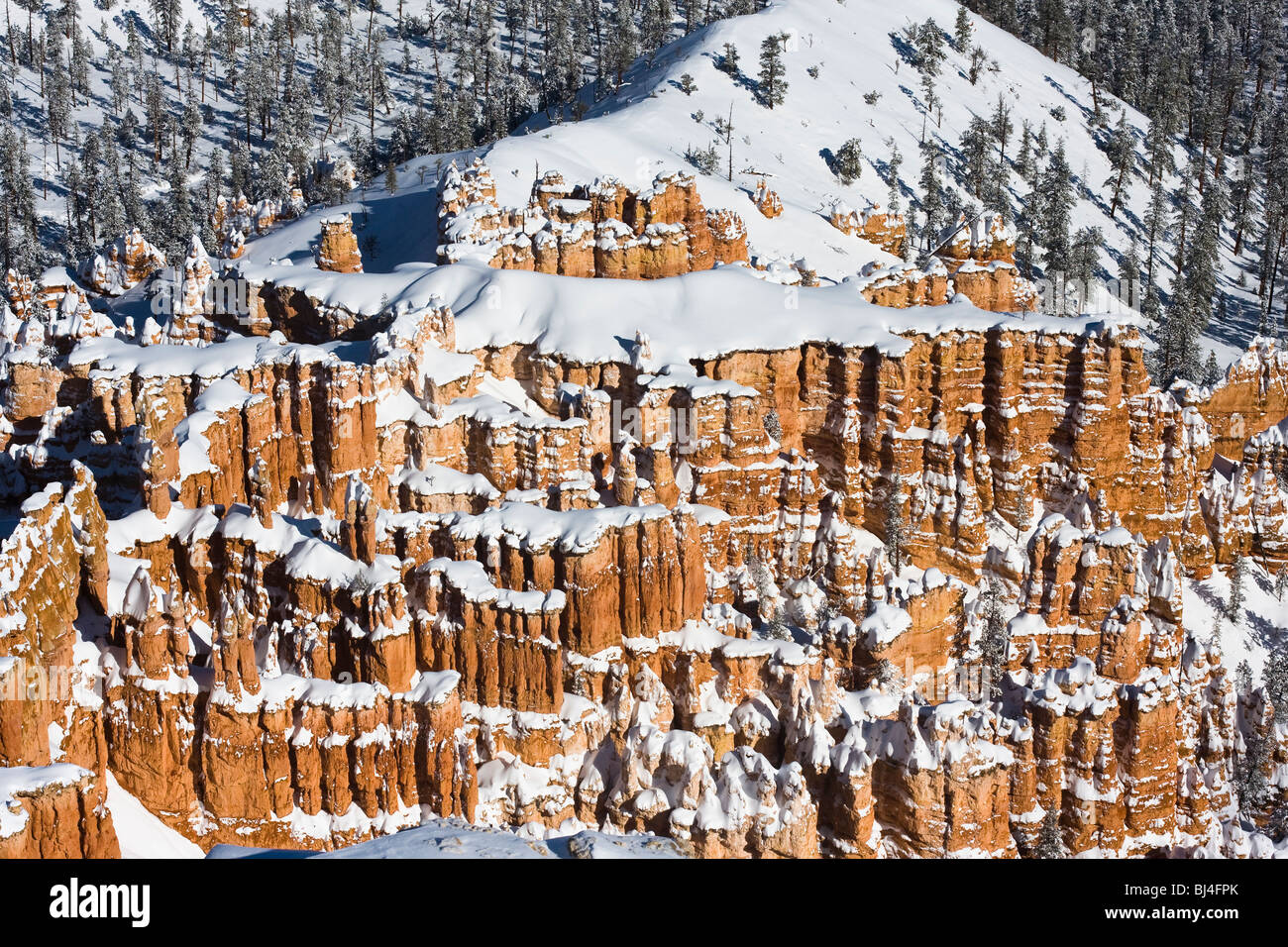 Hoodoos cubierto de nieve en el Parque Nacional de Bryce Canyon, Utah. Foto de stock