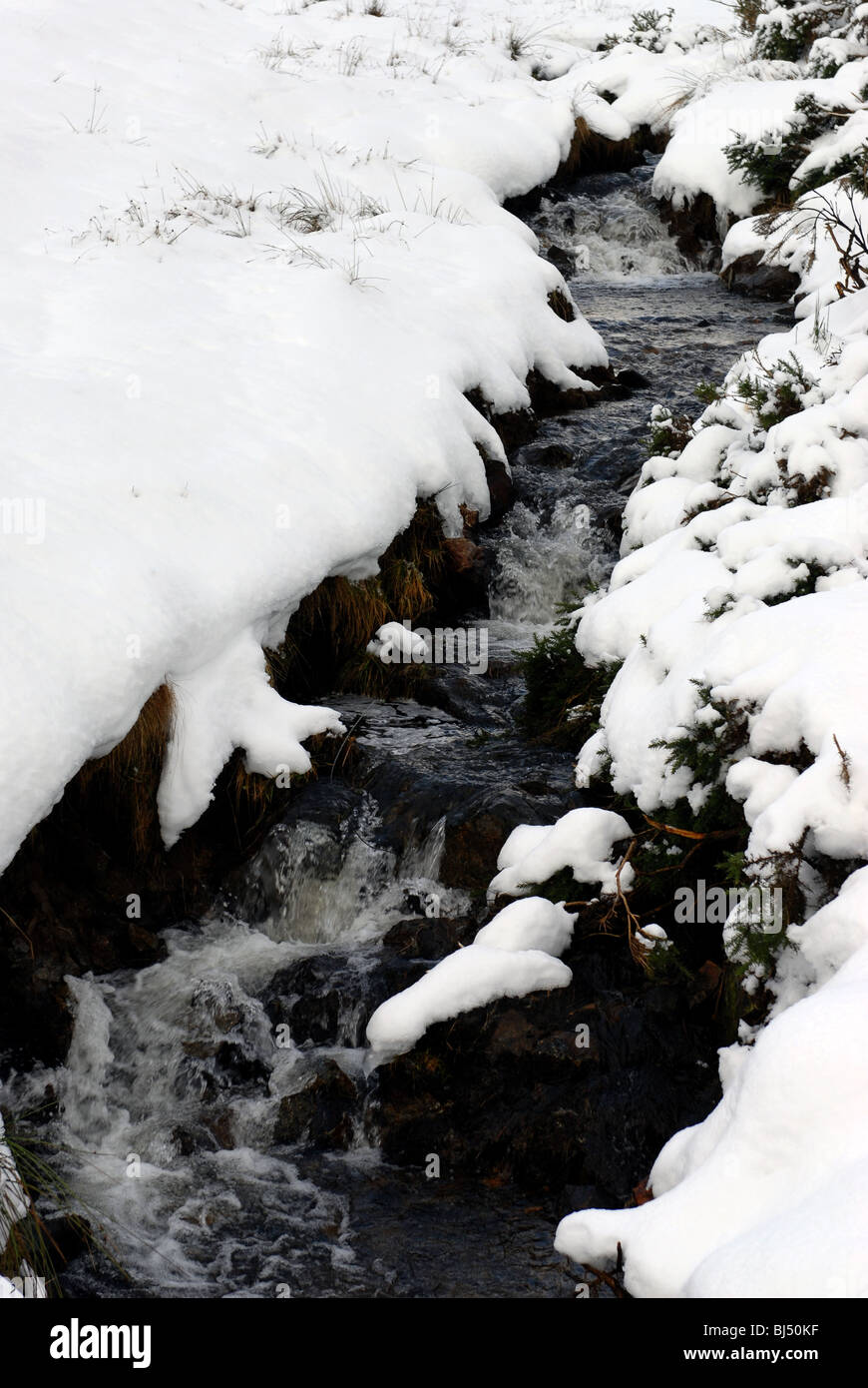 Las heladas aguas de la Quemadura de Peatfold en upper Glenbuchat voltear sobre rocas en una escena de frío invierno Foto de stock