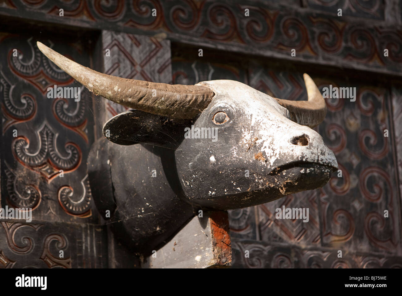Indonesia, Sulawesi, Tana Toraja, Lemo, tradicional casa tongkonan buffalo tallada cabeza de decoración Foto de stock