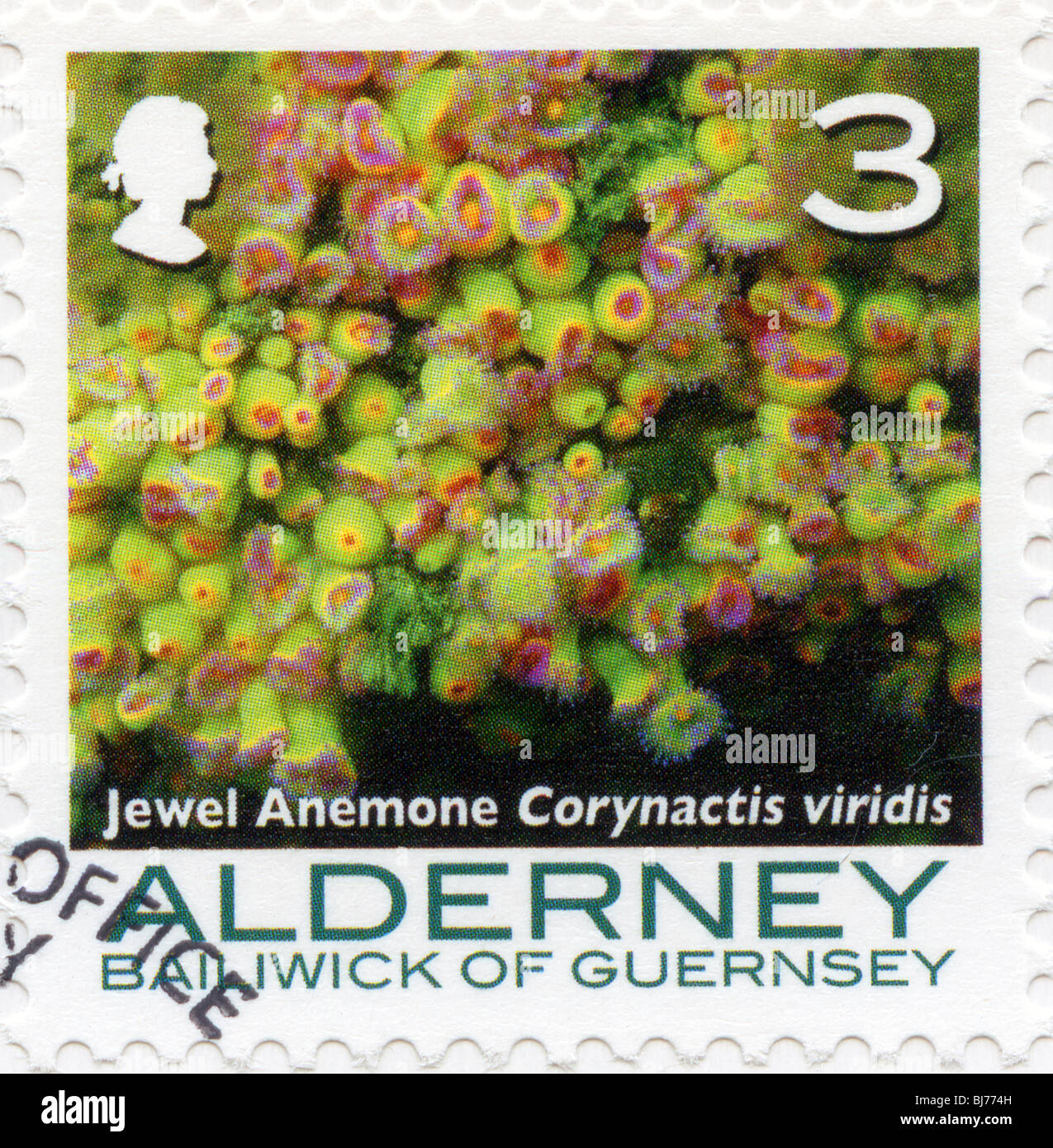 Alderney sellos Foto de stock