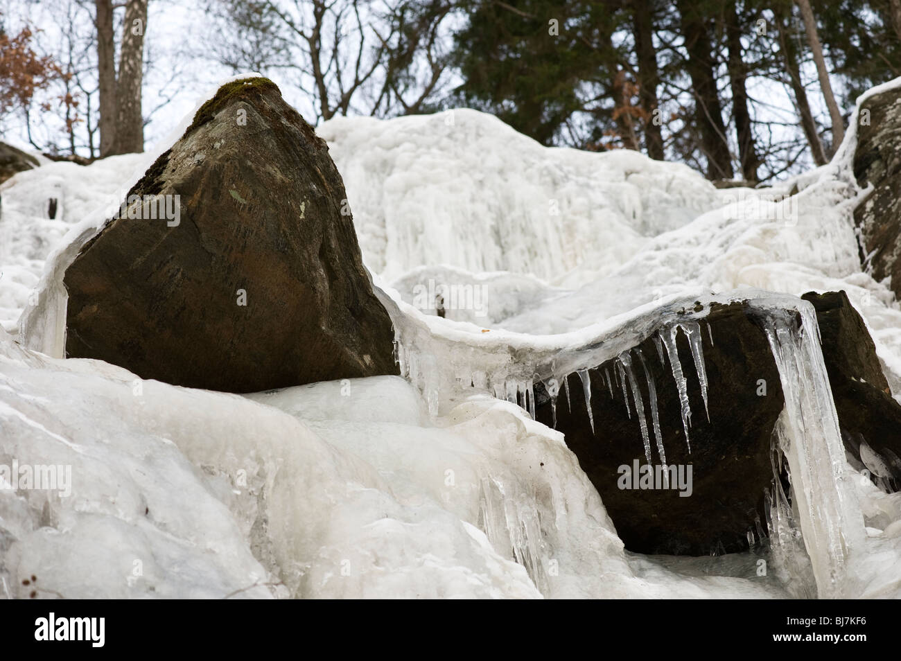 Detalle de invierno, Suecia Foto de stock