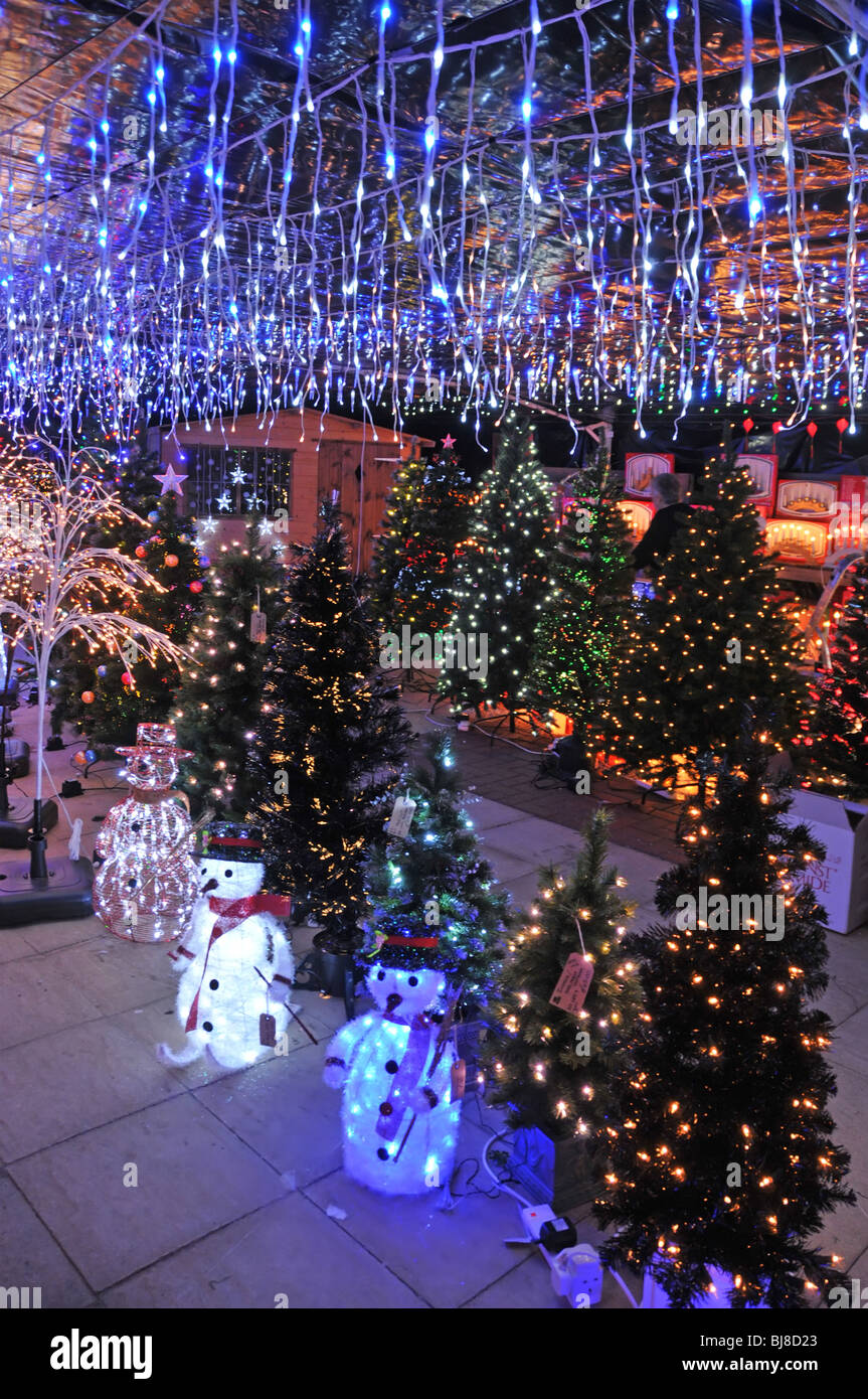 Jardín Interior Centro de visualización de árboles de Navidad y luces para  la venta Fotografía de stock - Alamy
