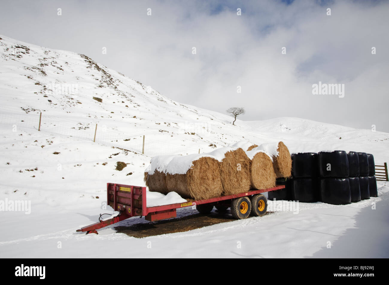Paisaje de invierno,fardos de paja en el remolque en el paisaje cubierto de nieve,,de Derbyshire Peak District,Inglaterra,Reino Unido Foto de stock