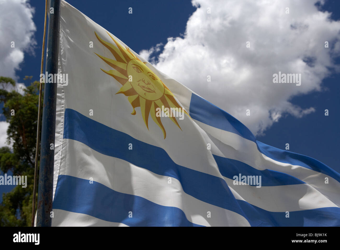 Bandera de uruguay fotografías e imágenes de alta resolución - Alamy Bandera de uruguay fotografías e imágenes de alta resolución - Alamy