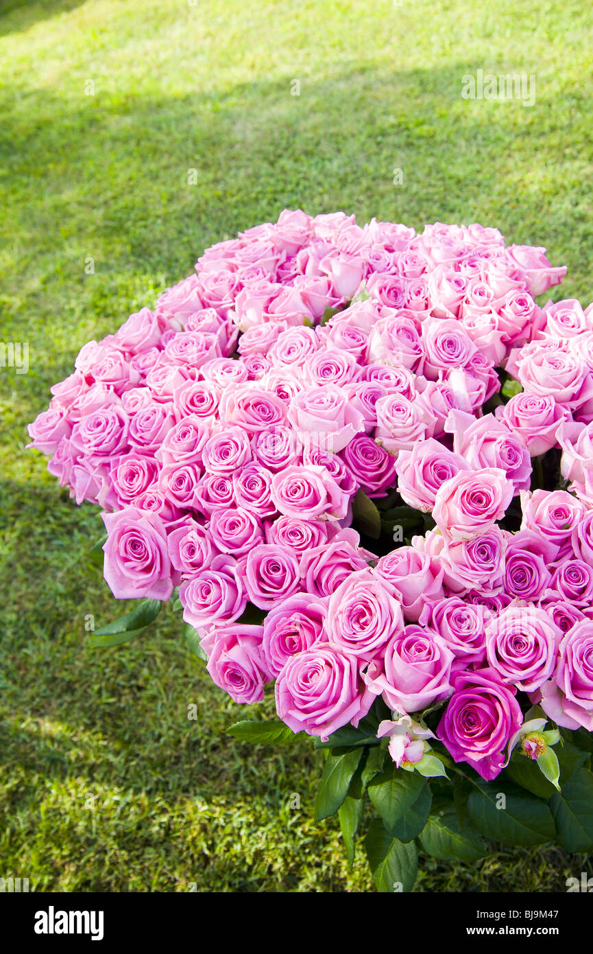 Un gran ramo de rosas rosas en un campo de hierba Foto de stock