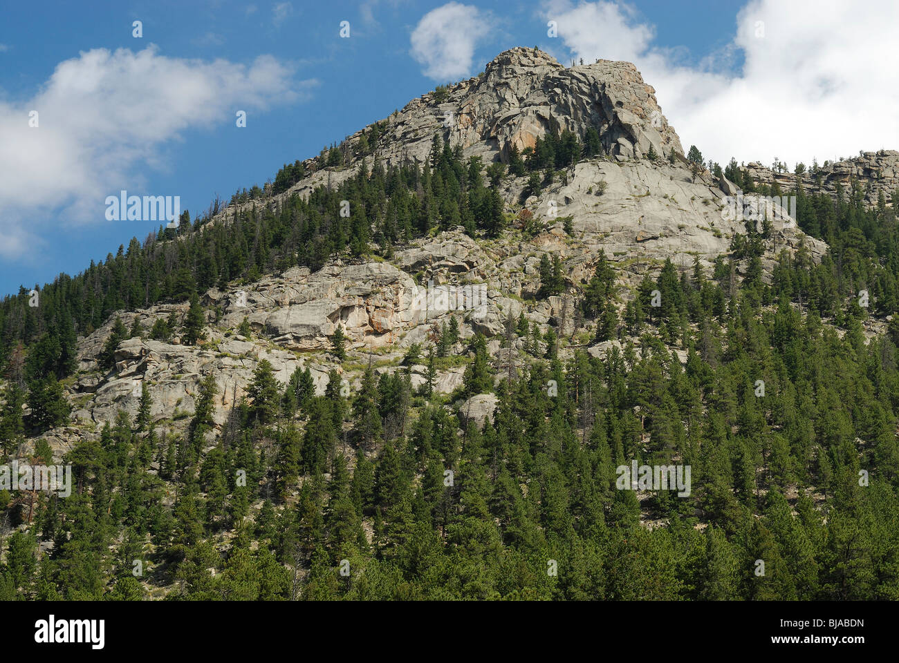 El Parque Nacional de las Montañas Rocosas en el estado de Colorado, EE.UU. Foto de stock