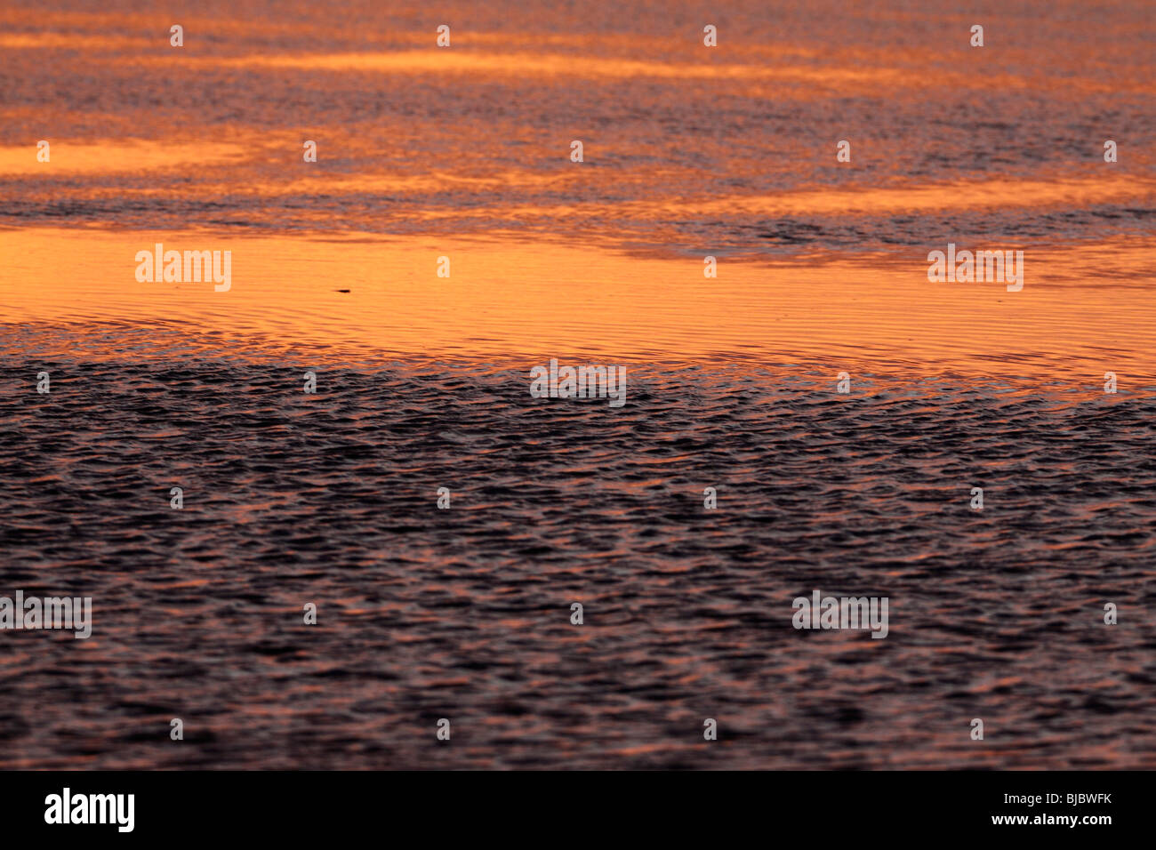 Las aguas costeras después del atardecer, la isla de Texel, Holanda Foto de stock