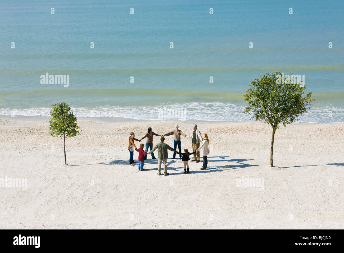Las manos de grupo en círculo en la playa entre dos árboles Foto de stock