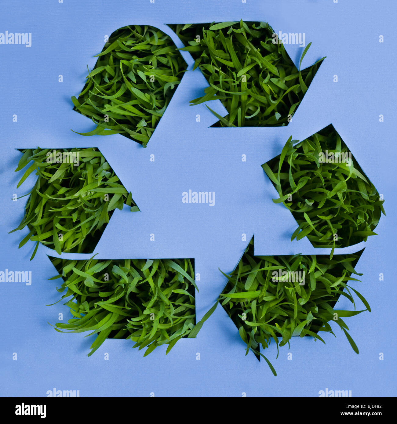 Símbolo de reciclaje con la hierba que crece en ella. Foto de stock