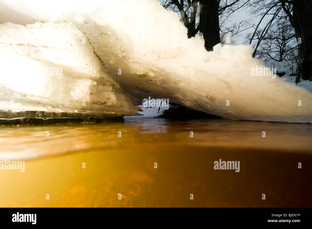 Secuencia en tiempo de invierno, 'split' imagen de visión Suecia Foto de stock