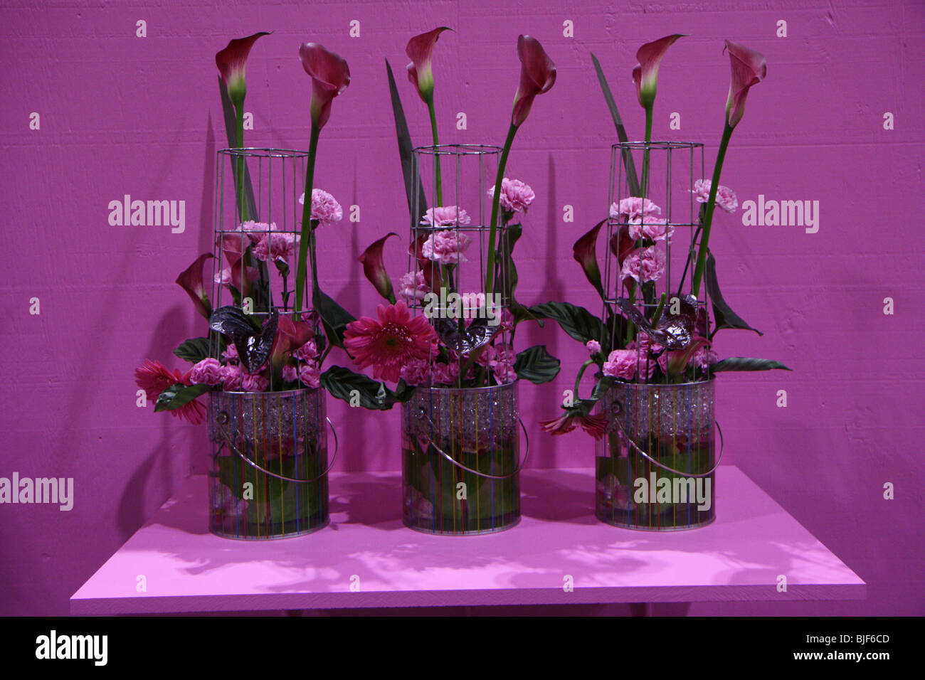 Bouquet flores florecen racimos de flores de regalo colorida decoración floral de fondo púrpura Foto de stock