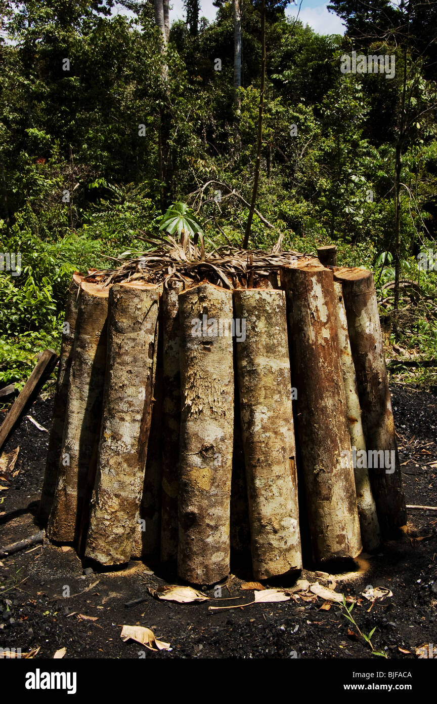 Pira de carbón en la selva amazónica Foto de stock