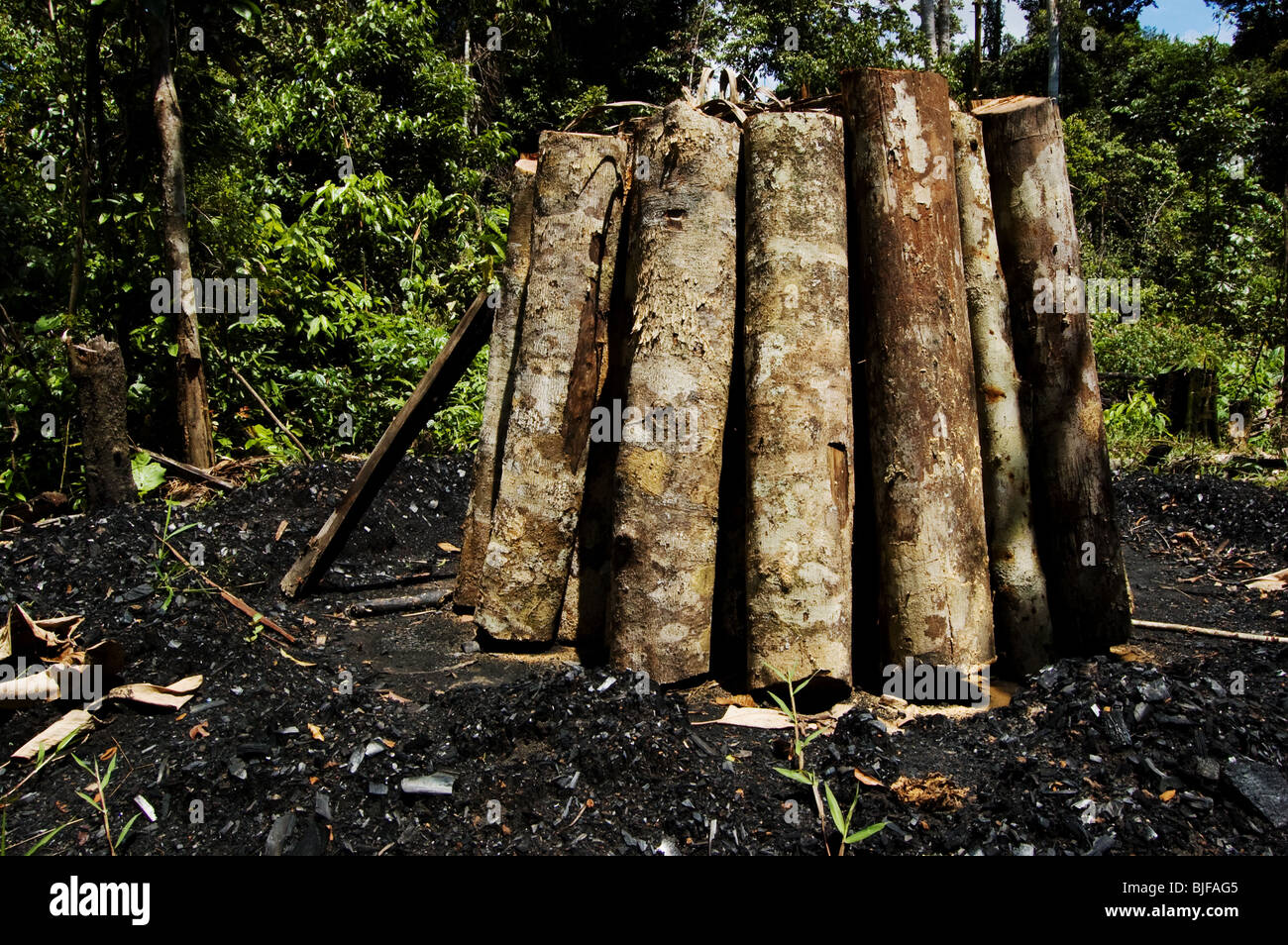 Pira de carbón en la selva amazónica Foto de stock