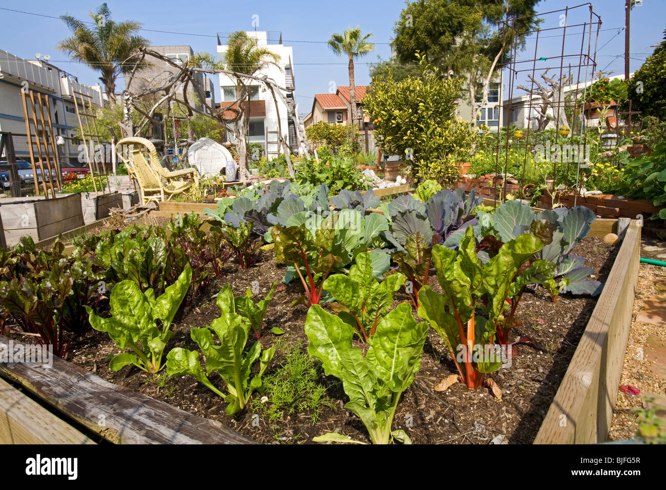 Eastwind jardines comunitarios, Marina Del Rey, Los Ángeles, California, Estados Unidos. Foto de stock