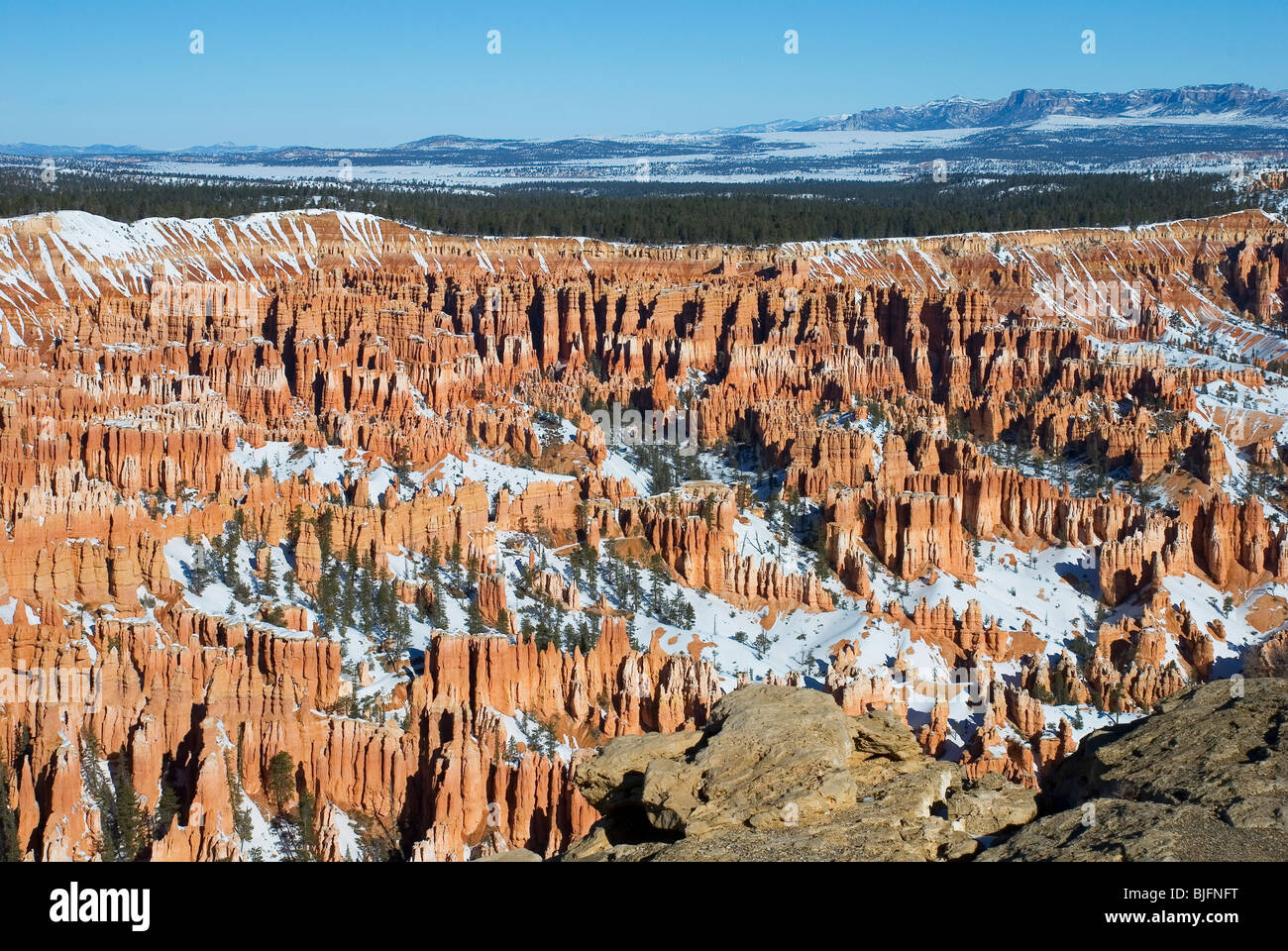 Anfiteatro natural, Bryce Canyon National Park, Utah, EE.UU.. Foto de stock