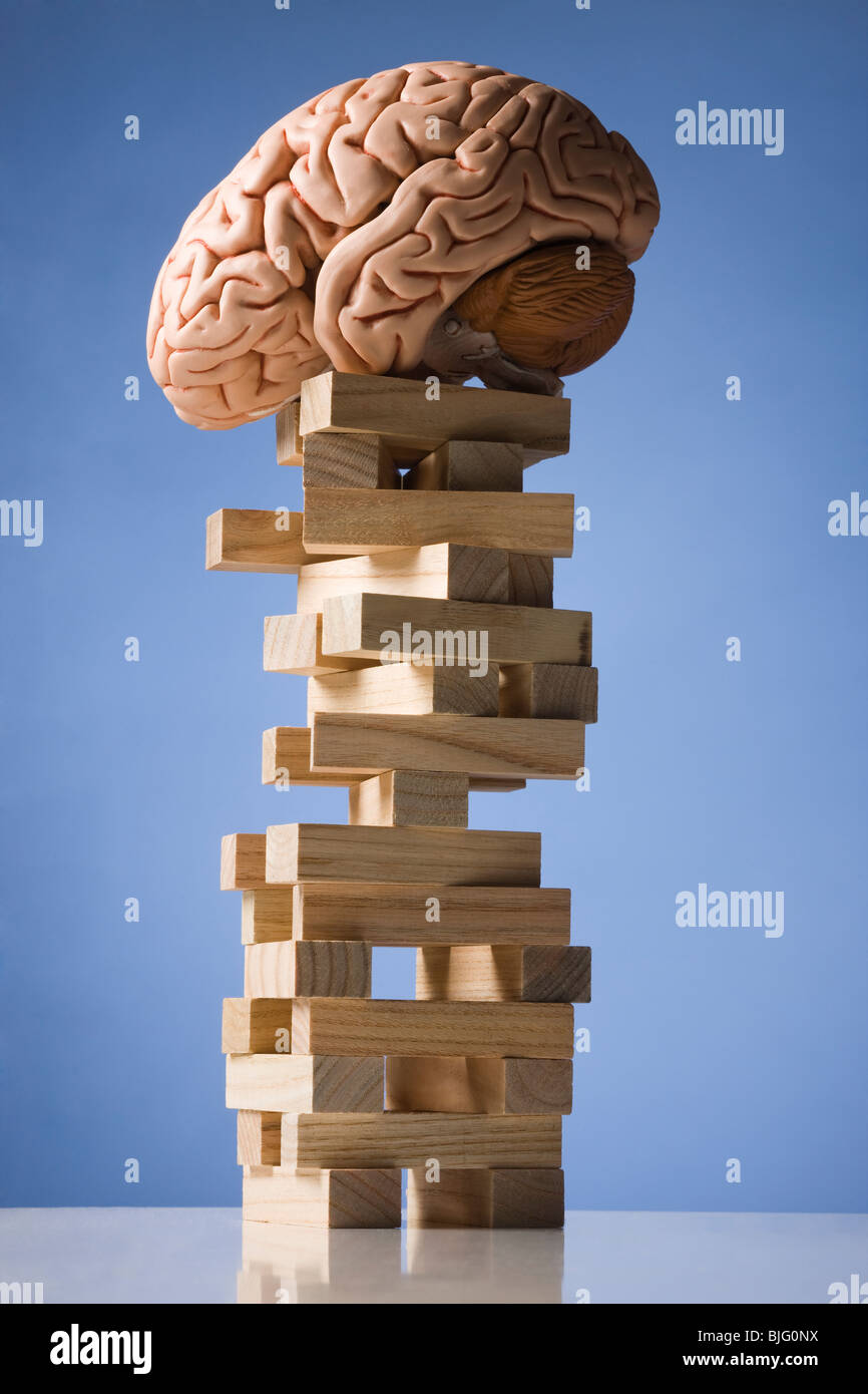 Cerebro encaramado sobre una torre de bloques. Foto de stock