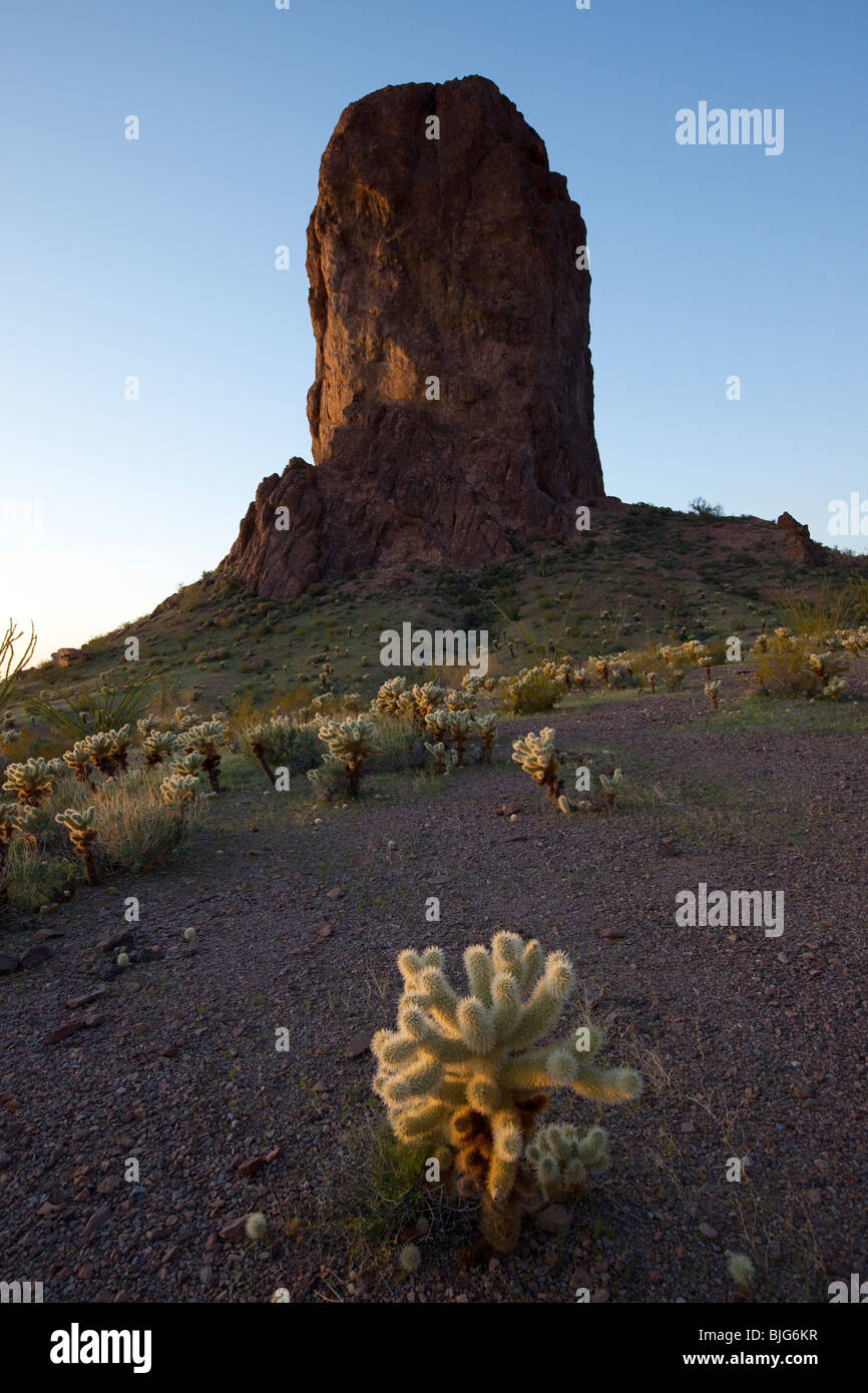 Monolito de piedra, el Refugio de Vida Silvestre KOFA, Arizona Foto de stock