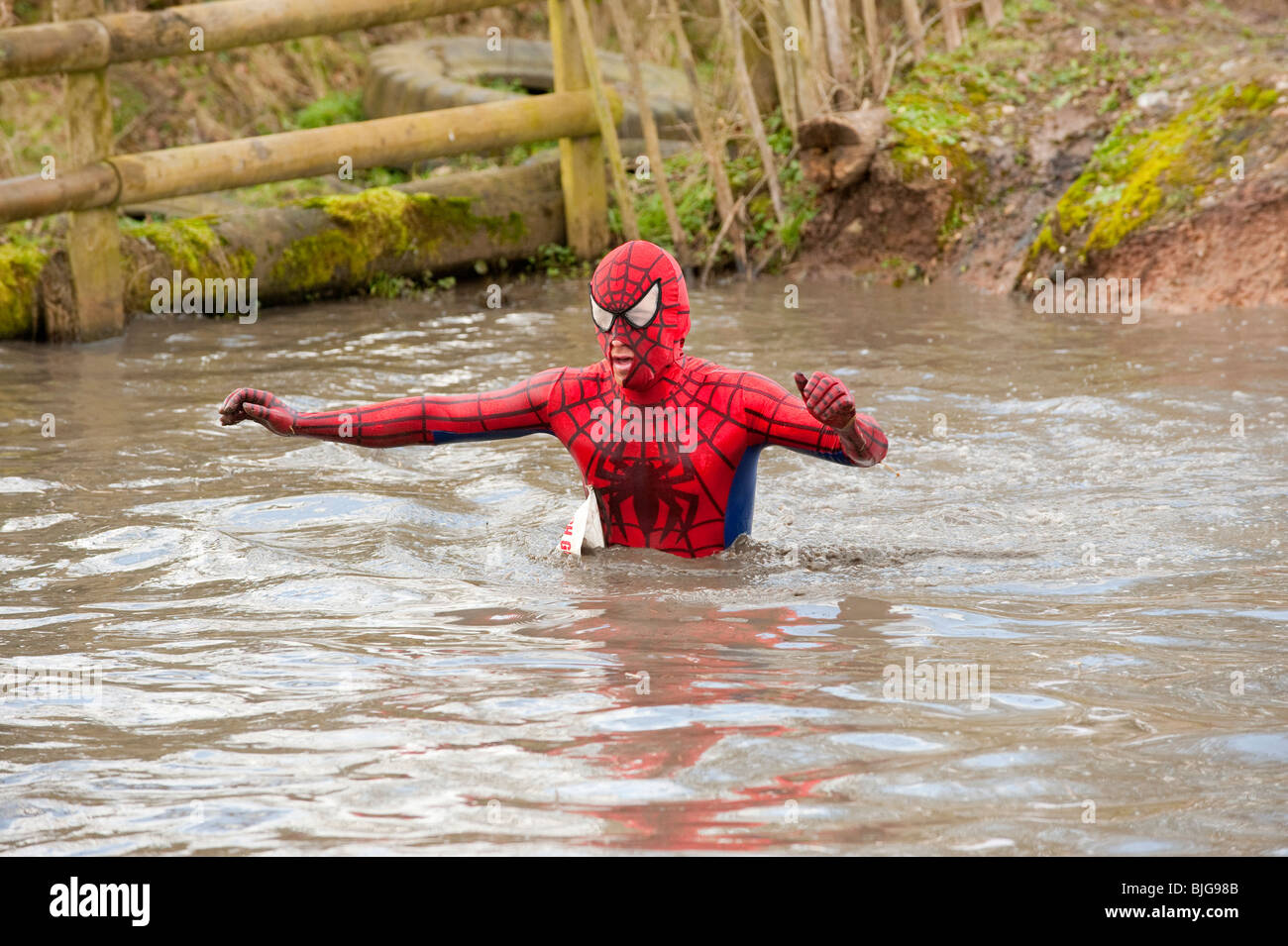 Spiderman vadeando a través de frío agua fangosa Pecho profundo Foto de stock