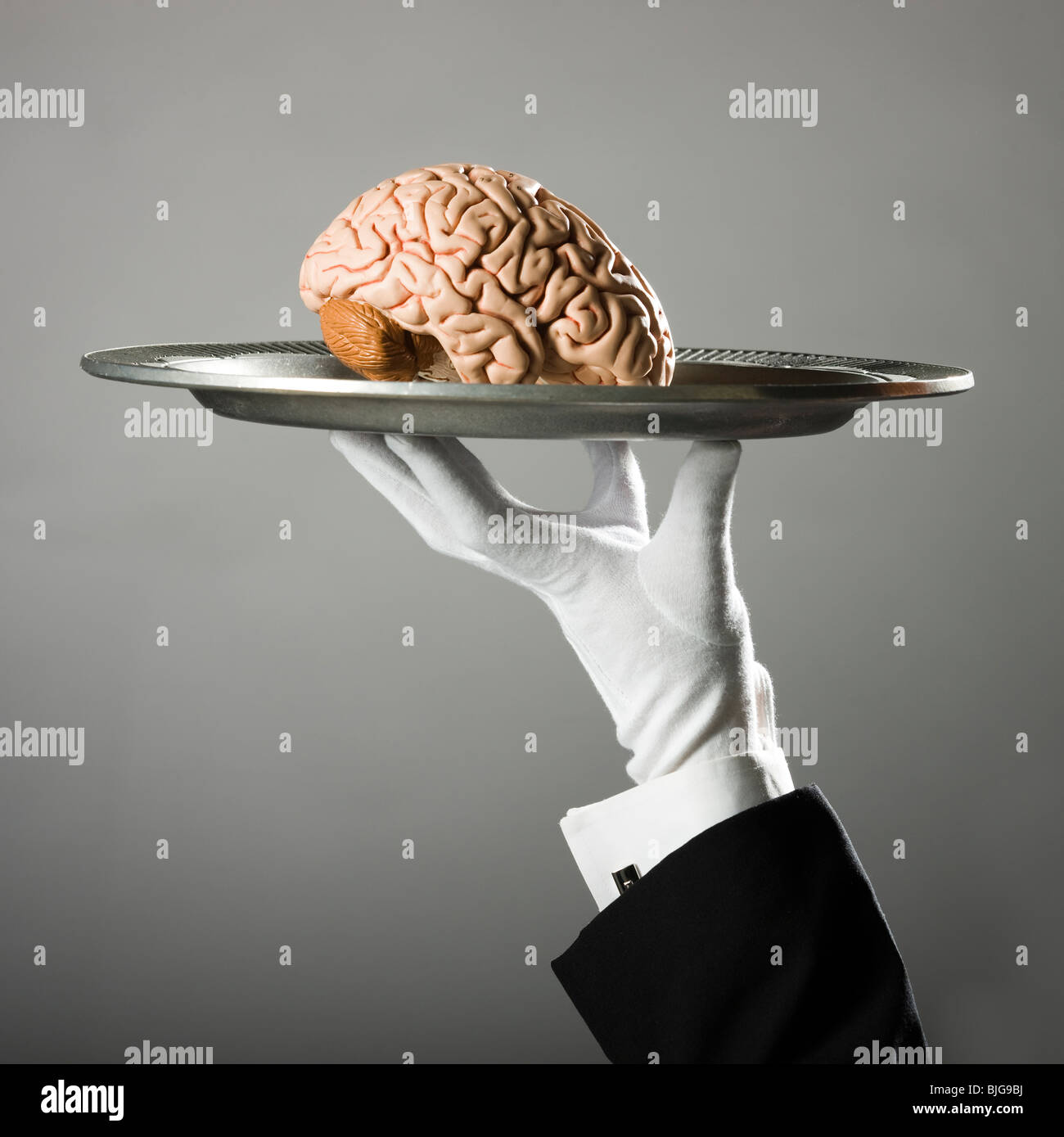 Cerebro en un plato Foto de stock