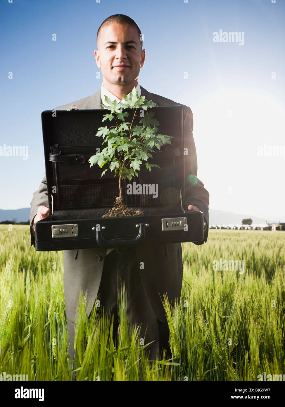 Empresario sosteniendo un maletín con un árbol en ella Foto de stock