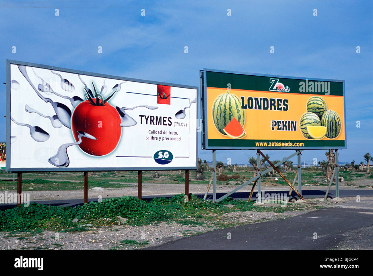 España vallas publicitarias EN EL EJIDO, cerca de los invernaderos para la  ensalada de verduras en Almería, Andalucía. Fotografía © Julio Etchart  Fotografía de stock - Alamy