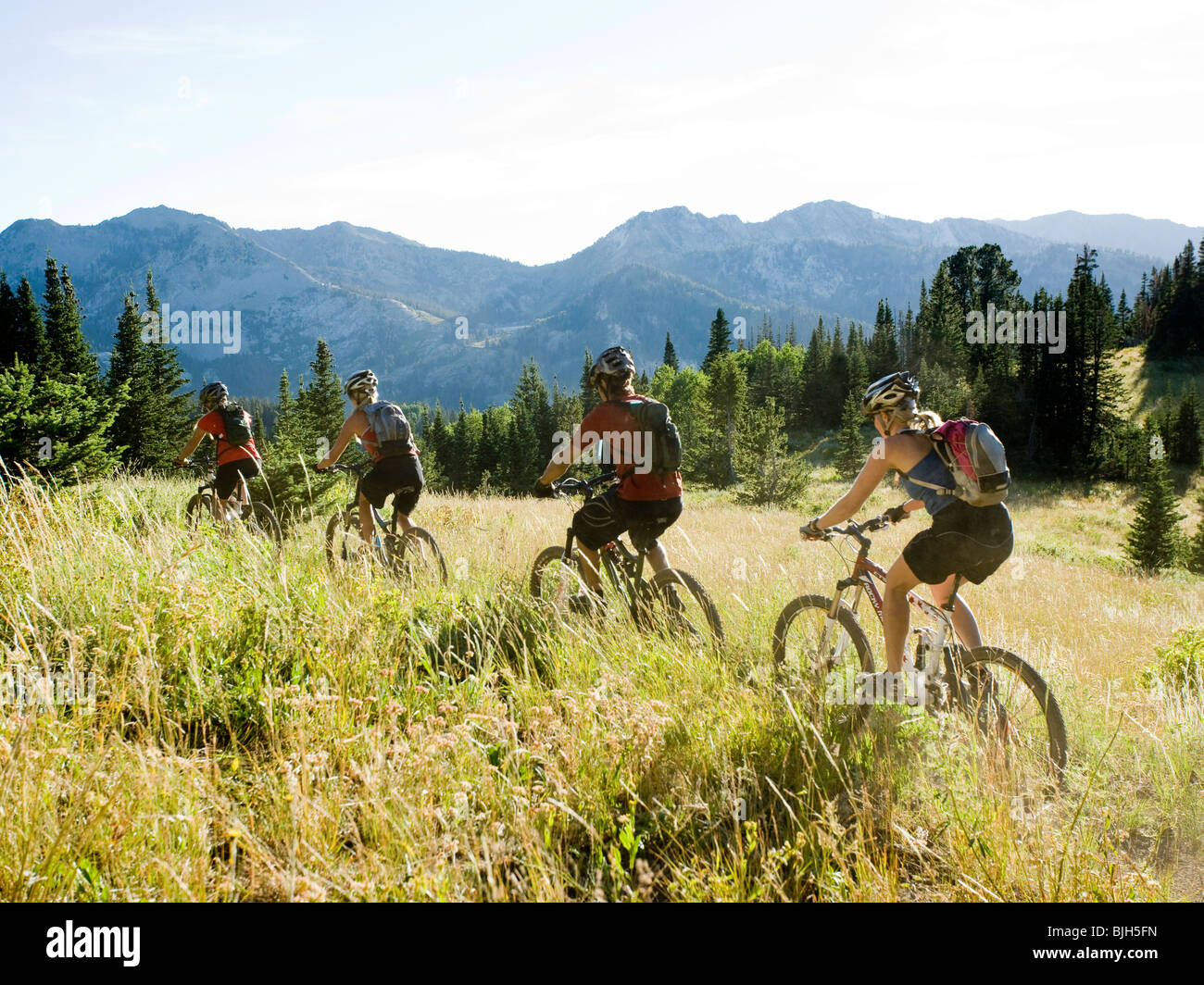 Los ciclistas de montaña montar abajo de un rastro Foto de stock
