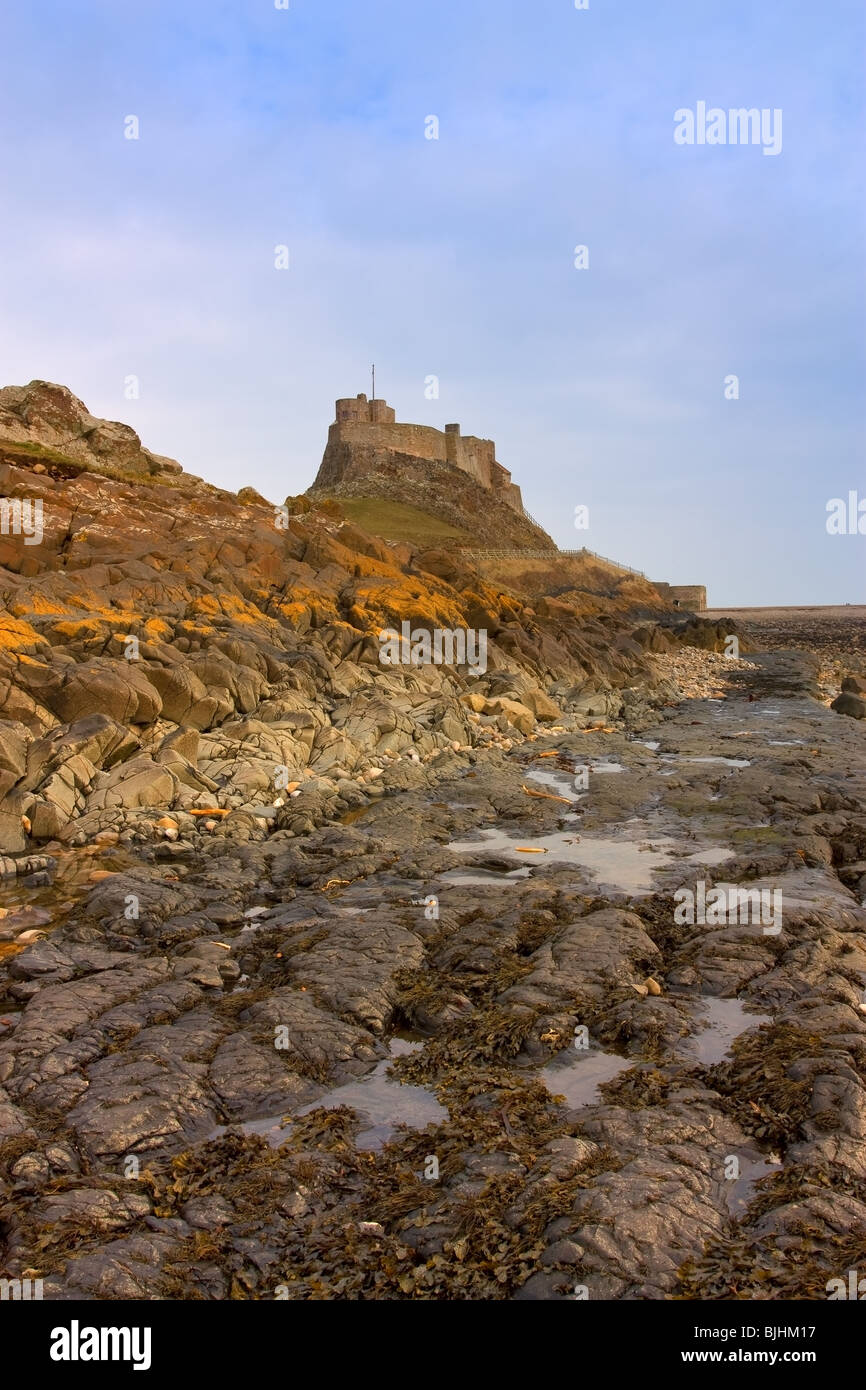 Castillo de Lindisfarne en la sagrada isla frente a la costa de Northumbria, al Noreste de Inglaterra. Foto de stock