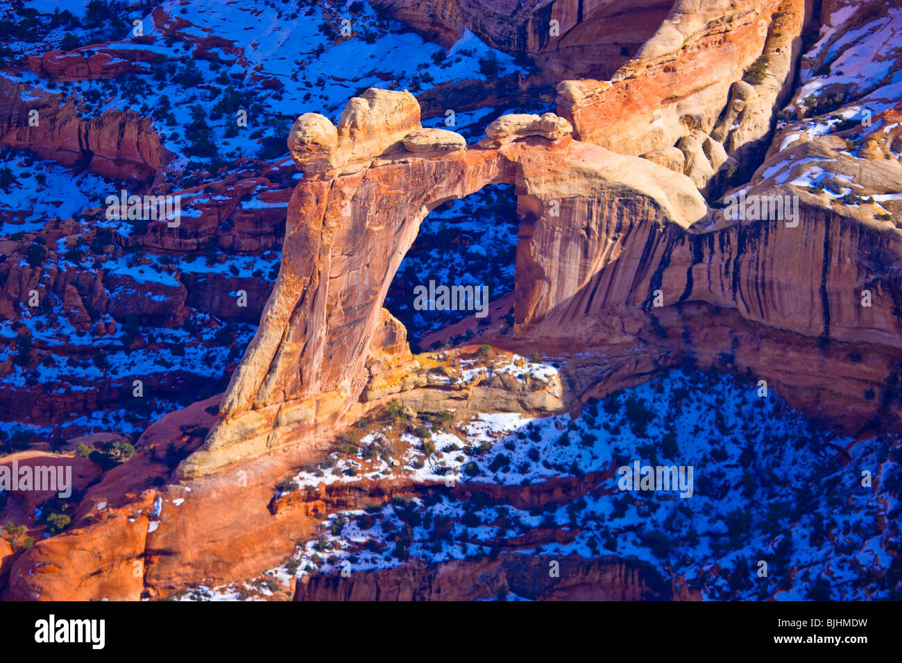 Ángel Arco, Parque Nacional Canyonlands, en Utah, distrito de agujas, Salt Creek Canyon Foto de stock