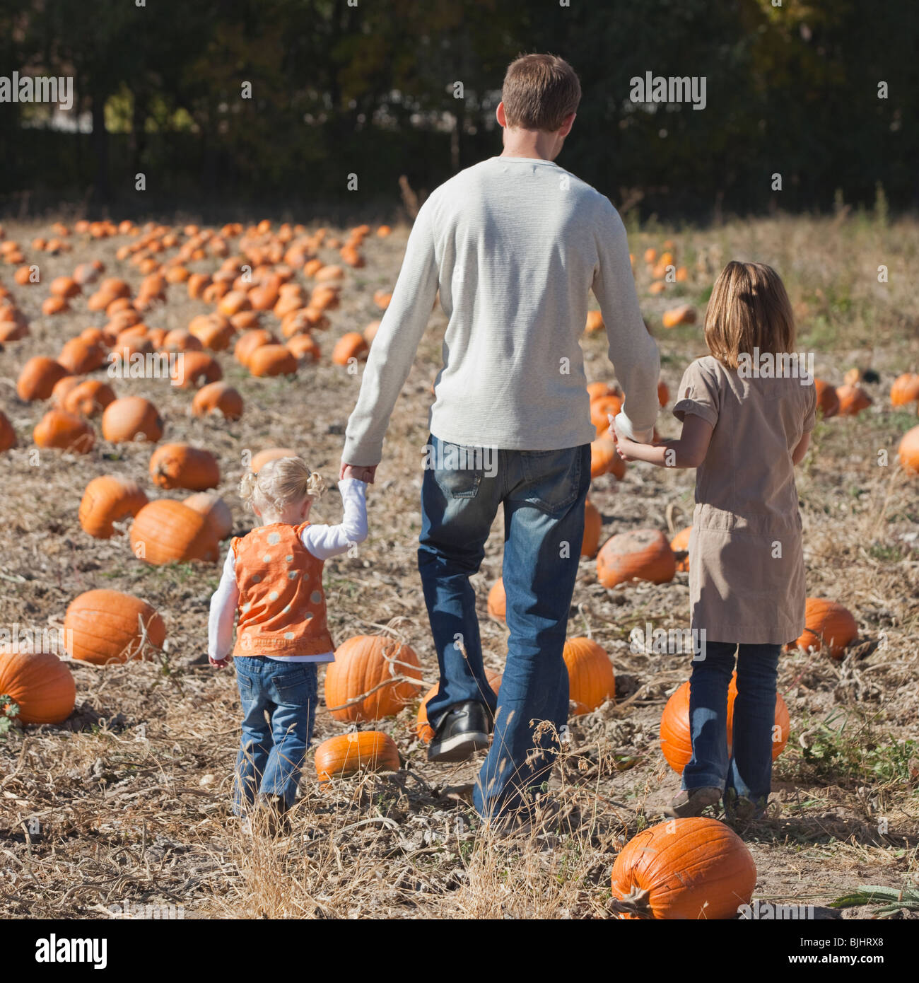 Padre e hijas en Pumpkin Patch Foto de stock