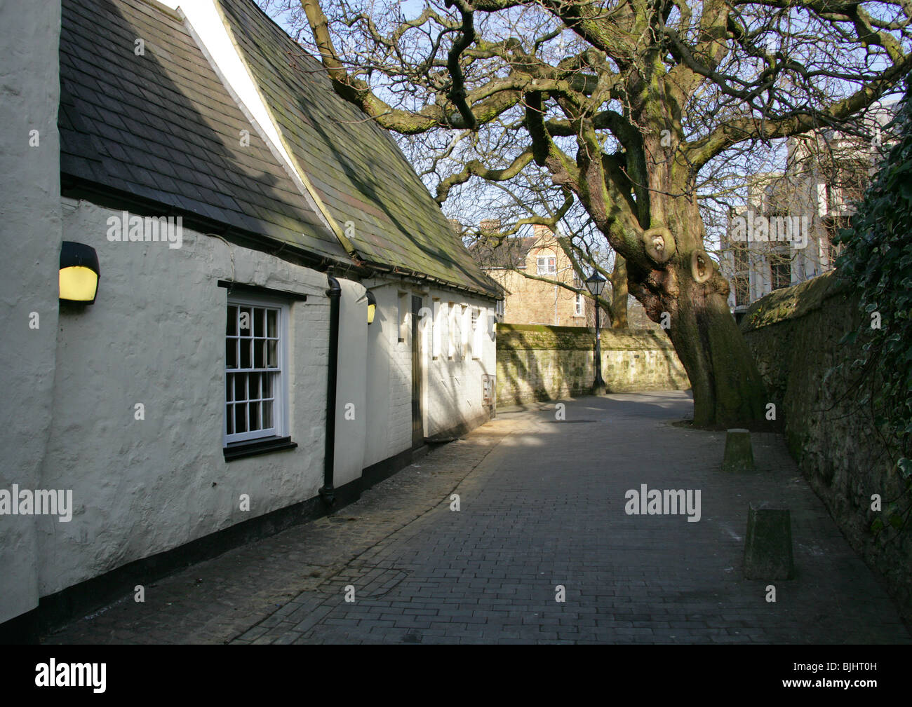 Cordero y bandera paso oxford fotografías e imágenes de alta resolución