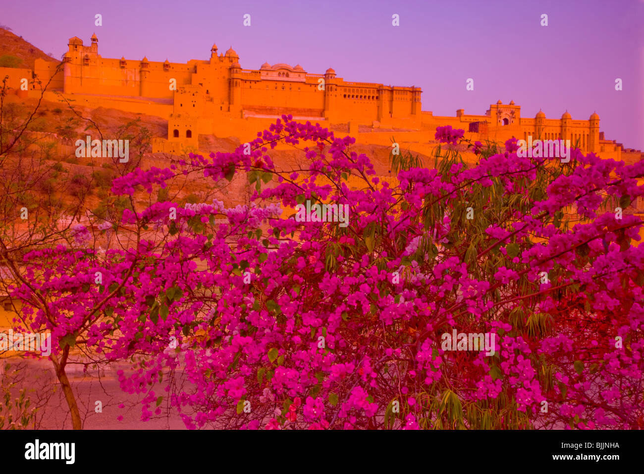 Fuerte Amber, Rajastán, India, establecida en 1592, cerca de Jaipur. Foto de stock