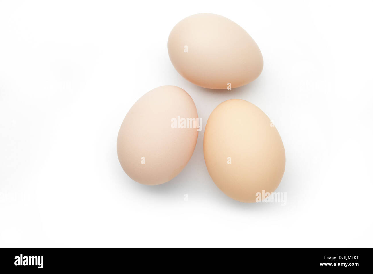 3 huevos de gallinas recién sembradas sobre fondo blanco. Foto de stock